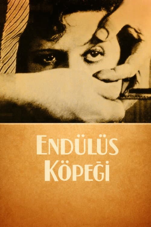 Endülüs Köpeği