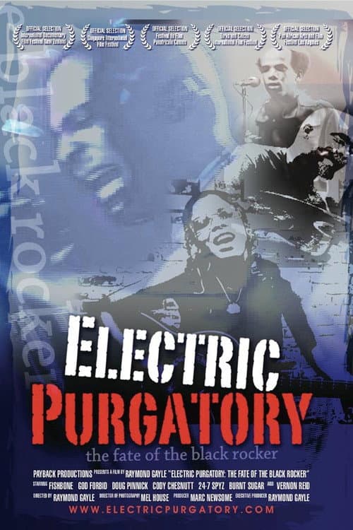 Electric Purgatory: The Fate of the Black Rocker