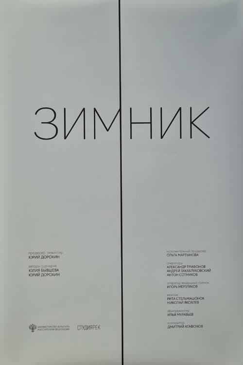 Зимник
