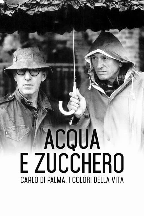 Acqua e zucchero – Carlo Di Palma: i colori della vita