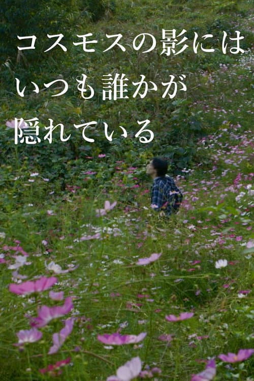 コスモスの影にはいつも誰かが隠れている