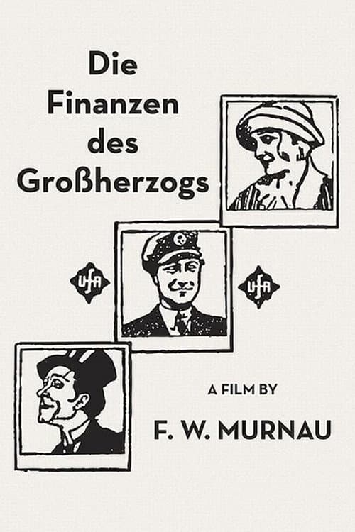 Die Finanzen des Großherzogs
