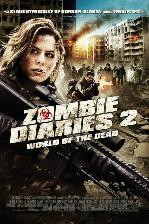 Zombi Günlükleri 2